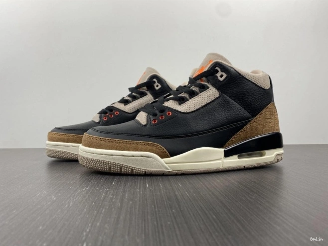 3 Air Jordan Elephant Desert CT8532-008 0817